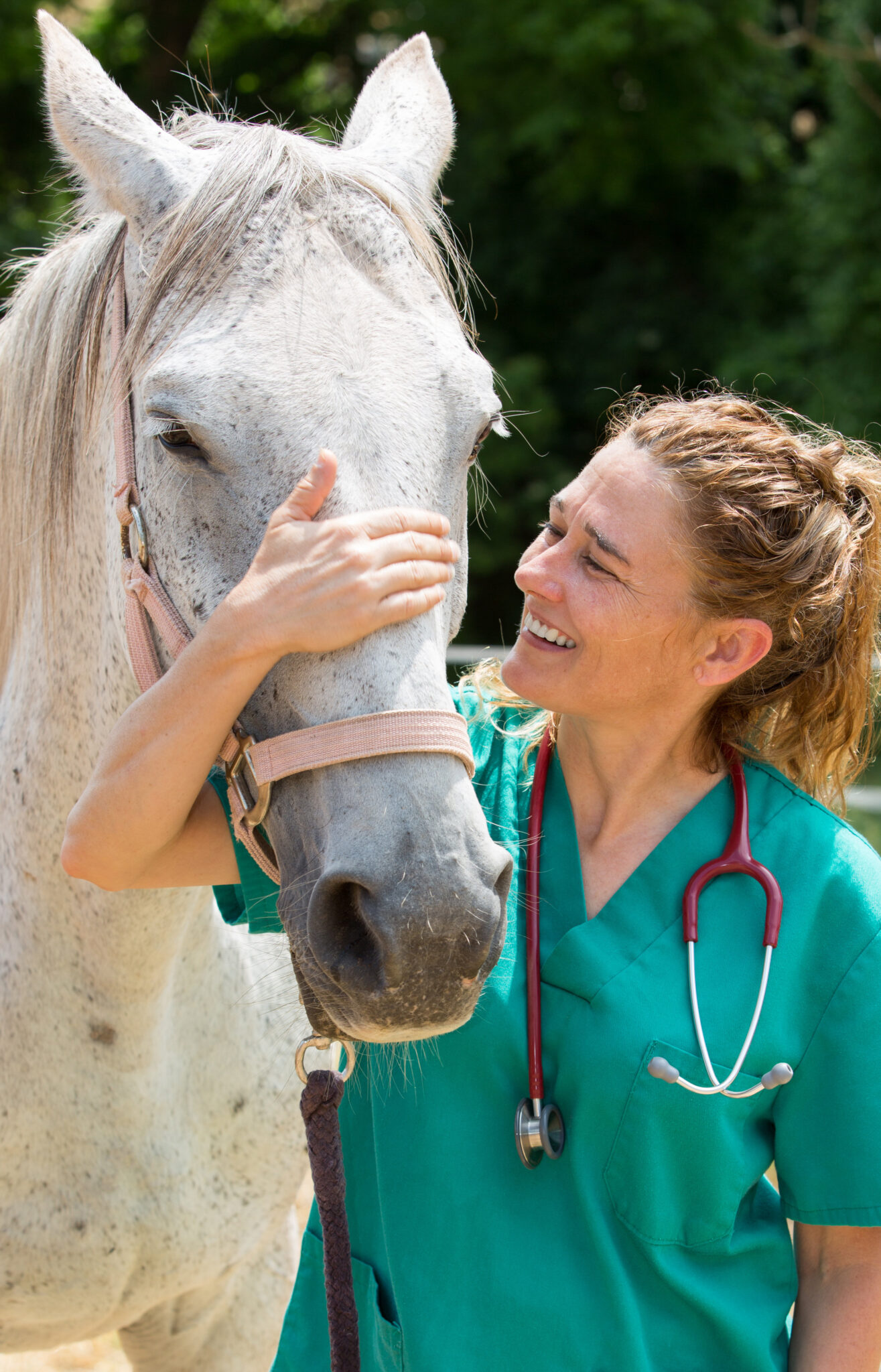 Licensees – Alabama State Board of Veterinary Medical Examiners 